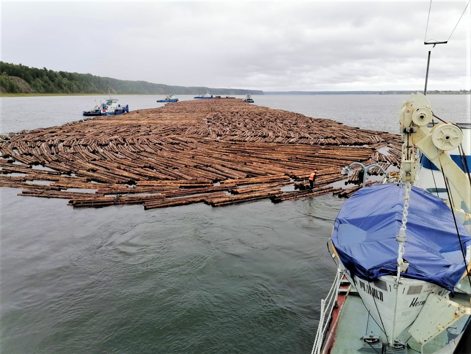 На север Красноярского края отправили заключительный лесоплот на 18 000 кубов древесины