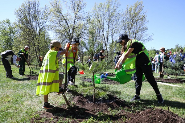 Свыше 6 тысяч деревьев высадили петербуржцы в рамках международной акции «Сад памяти»