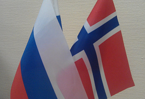 Ros norv.flagi