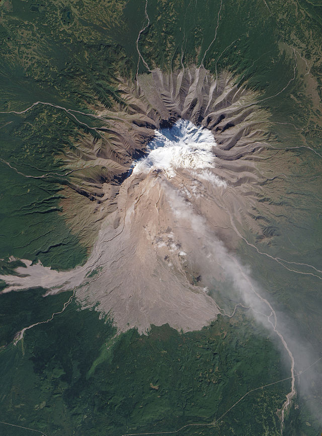 2010 Activity at Shiveluch Volcano